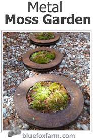 Make A Metal Moss Garden From Old Rusty