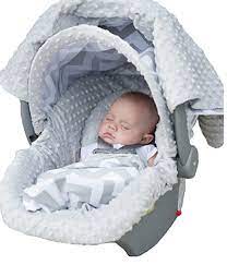 Cat Canopy 5 Pc Whole Caboodle Baby