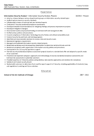 Information Security Analyst Resume Cyber Business Intern