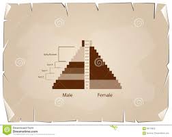 The Population Pyramids Graphs With 4 Generation Stock
