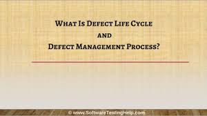 Defect Management Process How To Manage A Defect Effectively