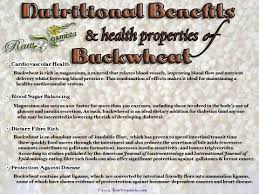 buckwheat preparation benefits