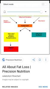 Flow Chart For Importance Of Nutrition In Exercise Brainly In