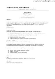 Ideas For Objectives On Resumes Unique Customer Service Objective