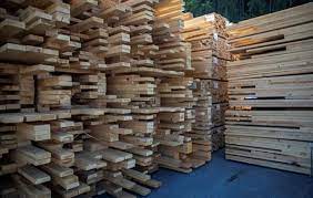 Oak lumber was worth more than lumber from other trees in the northern hemisphere (maple, ash, poplar, birch, spruce, and pine). City Of Peterborough To Sell Lumber Made From Local Ash Oak Trees Thepeterboroughexaminer Com