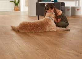 pets vs hardwood floors you can have