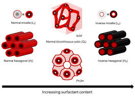 Templated Nanofiltration Membranes
