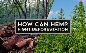 hemp help to reduce deforestation