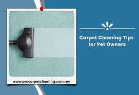 carpet cleaning tips for pet owners 2024