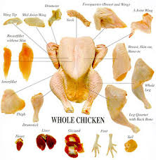 Venison Chicken And Other Animal Primal Cuts Charts Ask