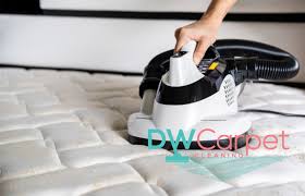 professional mattress cleaning services