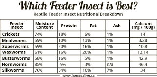 Reptile Feeder Insect Nutritional Breakdown