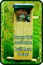 Barn Owl Nestboxes Free Owl Nest Box Plans