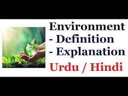 what is environment environmental