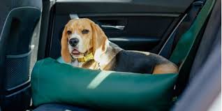 Unlike a dog car seat cover, the seat actually secures the dog and ensures they cannot interrupt you whilst driving. Top 6 Best Dog Car Seats And Booster Seats Fab Pets