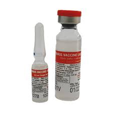 s dano vaccines