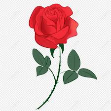 red rose 520 roses clipart hand