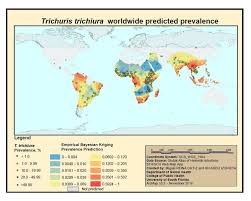 Trichuris Trichiura Global Water Pathogen Project