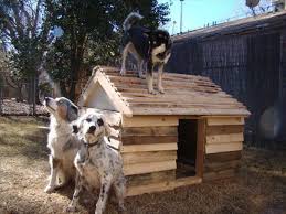 Bring The Luck To Home 16 Pallet Dog House