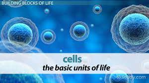cell lesson for kids definition