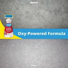carbona carpet cleaner with brush oxy