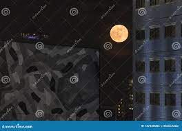 Grande Lune De Roseaux Entre Les Immeubles D'une Ville Photo stock - Image  du tropique, sorts: 137330004