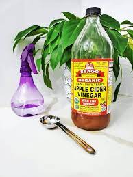 apple cider vinegar the health