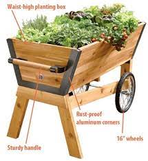 Raised garden beds are fantastic for growing plants. Raised Garden Beds On Wheels Raised Garden Beds Elevated Planter Box Planter Boxes