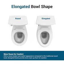 Dual Flush Elongated Bowl Toilet