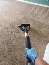 carpet cleaning in riverview fl