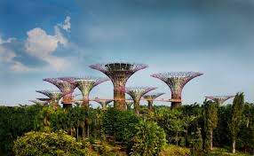 supertrees gardens by the bay grant
