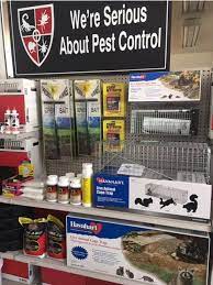 Seeking help from a certified pest expert is the best way to ensure your home is free from pests. Do It Yourself Pest Control Phoenix Az Bugs Weeds And More Do It Yourself Pest Control Stores