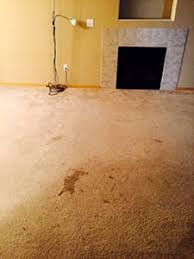 puyallup carpet rug hardwood