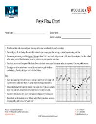 32 Printable Peak Flow Chart Forms And Templates Fillable