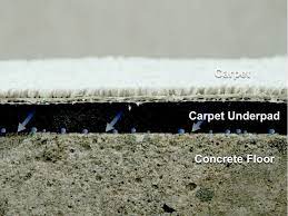 musty carpets a summertime problem