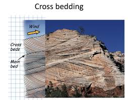 Structural Geology Midterm Flashcards