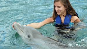 dolphin isted therapy cal bag