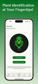 Plant Identifier Plant Care On The App