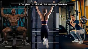 the push pull legs exercises list with