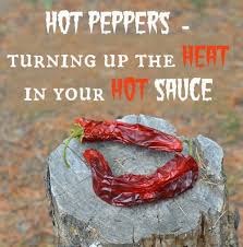 Hot Peppers Turning Up The Heat In Your Hot Sauce Recipes