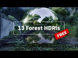 13 free forest hdri environment maps