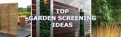 Garden Screening Ideas Get The