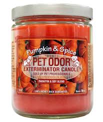 Take things up a notch and get a candle that solves another purpose. Pet Odor Exterminator Candles Mutneys Professional Pet Care