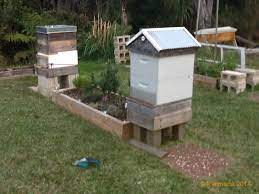 Beehives Can You Get In New Zealand