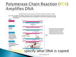 Polymerase Chain Reaction Sliderbase