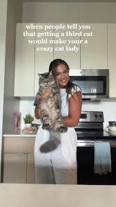 Woman holding her gray cat in kitchen