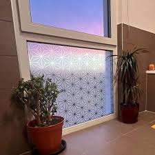 Patterned Frosted Window Sally