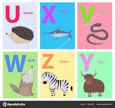 Alphabet Letters U X V W Z Y Set With Animal Stock Vector