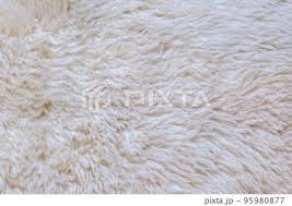 close up white fur texture or carpet