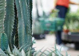 Your Home For Plants Garden Supplies